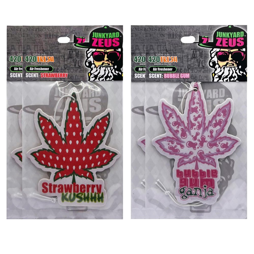 Strawberry Bubblegum Bubble Gum Fields Picking Drink Soda Fruit Mix New Scent Combo Package with 2 Unique Scented Smell Car Truck SUV Vehicle Room Office Rear View Mirror Hanging Paper Air Freshener