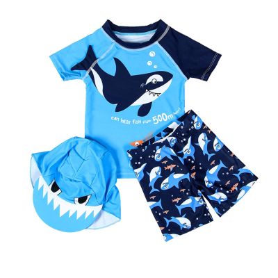 Baby Toddler Boys Two Pieces Swimsuit Set Cartoon Bathing Suit Short Sleeve Rash Guard Swimwear with (Blue, 2-3 Years)