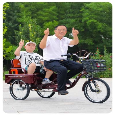 SRNSAEB Adult Tricycle 20 Inch 3 Wheel Bikes, 1 Speed Trike Bike for Adults with Foldable Passenger Seat, Seniors Women Men Cruiser Bike for Shopping Picnic Outdoor Sports