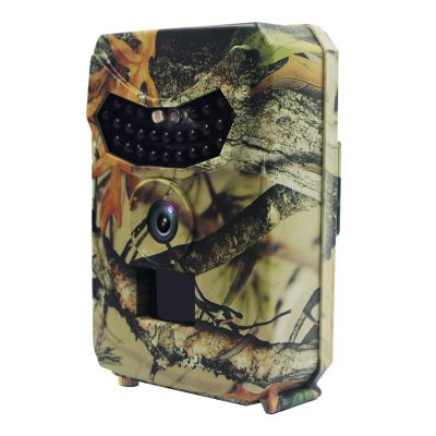 YWJLQH Mini Wildlife Camera with Motion Detection