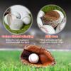Disents 12 Pack Standard Size Adult Baseballs - 9 inch Unmarked & Leather Covered Training Ball Practice Baseball for League Play, Pitching, Hitting, Batting, Fielding, Autograph view 3