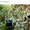 1.5m 2m 4m 10m 20m Military Woodland Camouflage Netting Camo Netting,Camo net,Camouflage Net Outdoor Camo Netting for Hunting Camping Decoration Sunshade Party Different Sizes view 3