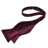 Bowtie For Men Self-Ties Set Cravat Mens Bow Tie Accessories Burgundy Wine Red Color Paisley Butterfly Knot Gift view 4
