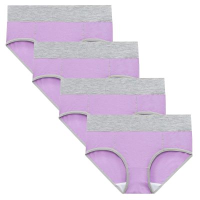 JiXiang Panties For Women Plus Size High Waist Solid Color Tummy Control Soft Stretch Underwear Full Coverage Ladies Panty