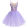 Ballerina Costume Women, Swan Lake Ballet Costumes Adult Ballet Leotard Tutu Dress Mesh Tulle Puffy Skirt Long Dance Dresses Ballerina Dancewear Professional Competition Stage Performance Purple M view 1