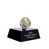 noblehead 2024 Fantasy Football Ring | Heavy FFL Champion Ring | Gold Silver Tone Plated Award Trophy for Fantasy Football League Winner (size 10, ring and case together) view 2