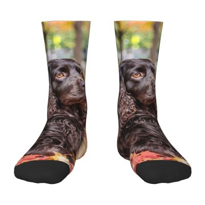 Xsovgoi Boykin Spaniel Dog Kids Socks 6-10 Years Old Lightweight Non-Slip Children Crew Socks