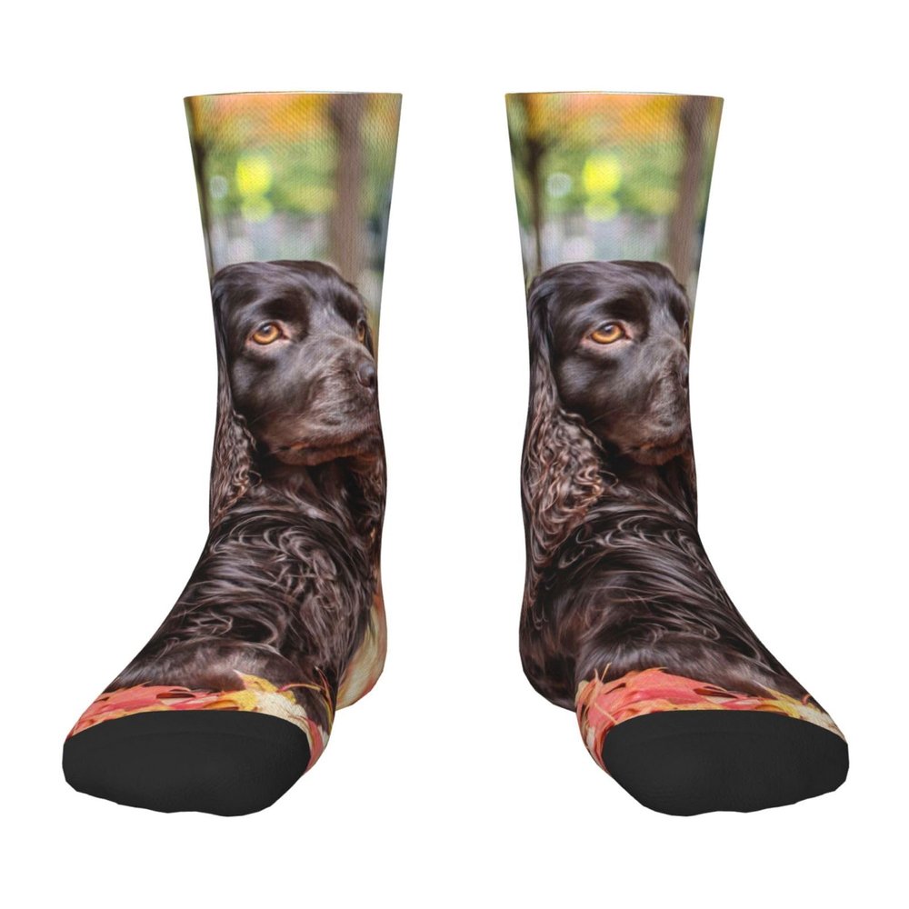 Xsovgoi Boykin Spaniel Dog Kids Socks 6-10 Years Old Lightweight Non-Slip Children Crew Socks