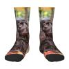 Xsovgoi Boykin Spaniel Dog Kids Socks 6-10 Years Old Lightweight Non-Slip Children Crew Socks view 1