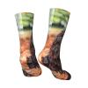 Xsovgoi Boykin Spaniel Dog Kids Socks 6-10 Years Old Lightweight Non-Slip Children Crew Socks view 4