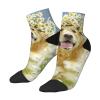 Xsovgoi Golden Retriever Dog Low Cut Ankle Socks 11 No-Show Socks Moisture-Wicking Socks For Men Women view 2