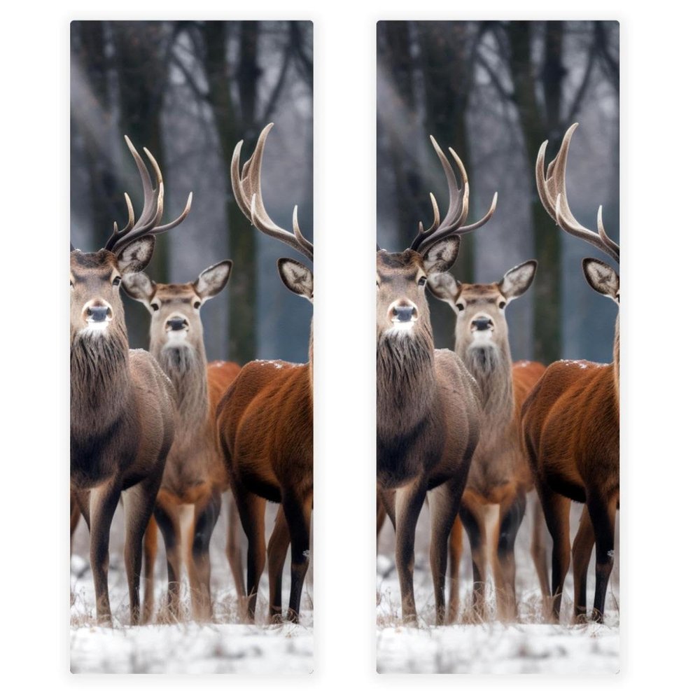 YTYVAGT Hand Towels for Bathroom,Gym Towels for Working Out,Sports Towel,Flower Deer Snow Tree,2-Pc