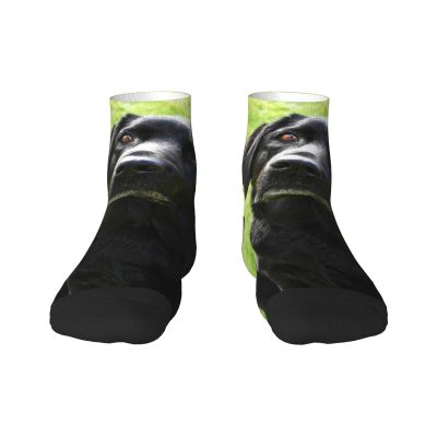 Xsovgoi Black Labrador Retriever Dog Low Cut Ankle Socks 11 No-Show Socks Moisture-Wicking Socks For Men Women