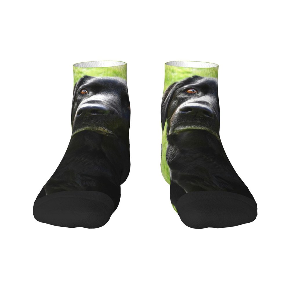 Xsovgoi Black Labrador Retriever Dog Low Cut Ankle Socks 11 No-Show Socks Moisture-Wicking Socks For Men Women