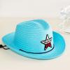 Child Western Cowboy Hat Toddler Sun Hats Summer Beach Stra Hat 6 Colours Girls Boys Kids 26Y (Sky Blue, 2-6 Years) view 2