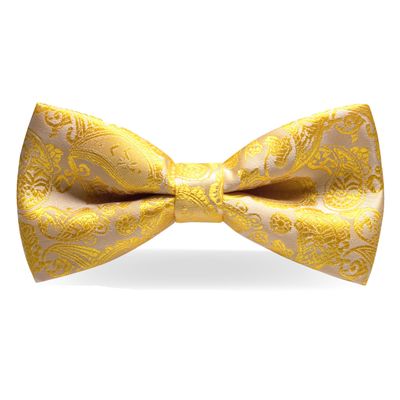 JEMYGINS Mens Pre-tied Yellow Paisley Bow Tie for Wedding Party Adjustable Bowties(8)