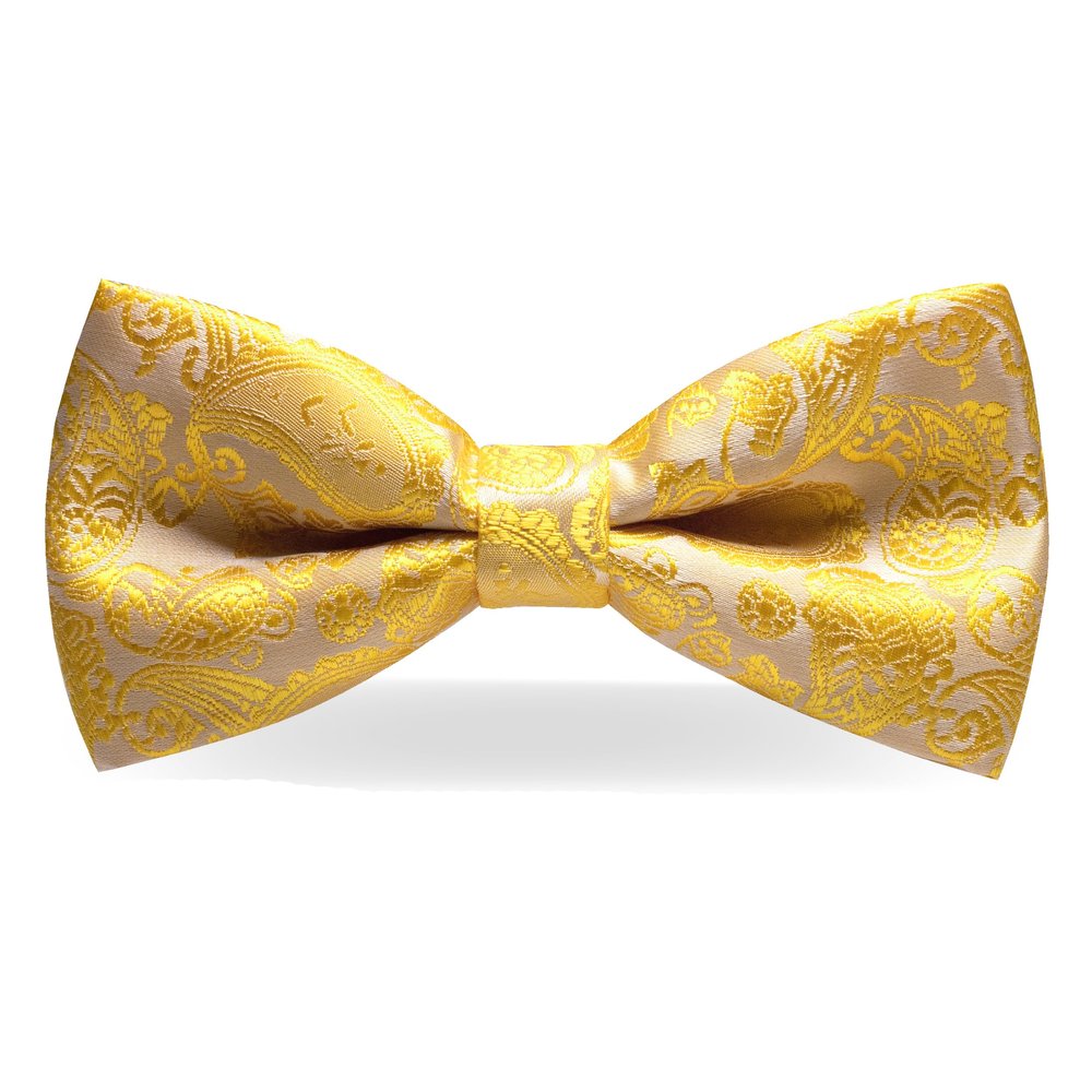 JEMYGINS Mens Pre-tied Yellow Paisley Bow Tie for Wedding Party Adjustable Bowties(8)