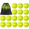 Sonwyoung 16 Pack Sports Practice Softball with Mesh Bag, Official Size and Weight Slowpitch Softball, Unmarked Leather Covered Youth Fastpitch Ball Training Ball for Training(12 Inch) view 1