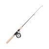 Alomejor 75cm Ice Fishing Rod Reel Combo Fiberglass Pole Metal Reel EVA Handle for Fathers, Sons, Husbands view 1