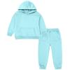 ACEFAST INC Girls Boys Tracksuit Pullover Hoodie Jogging Pants Set 2 Pieces Sweatsuit for Kids Fashion Sweatshirt Set view 1
