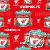 Liverpool FC Wrapping Paper 2 Sheets 2 Tags, Liverpool Football Gift Wrap view 2