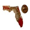 Florida State Flag Map lapel pin view 1