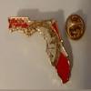 Florida State Flag Map lapel pin view 2