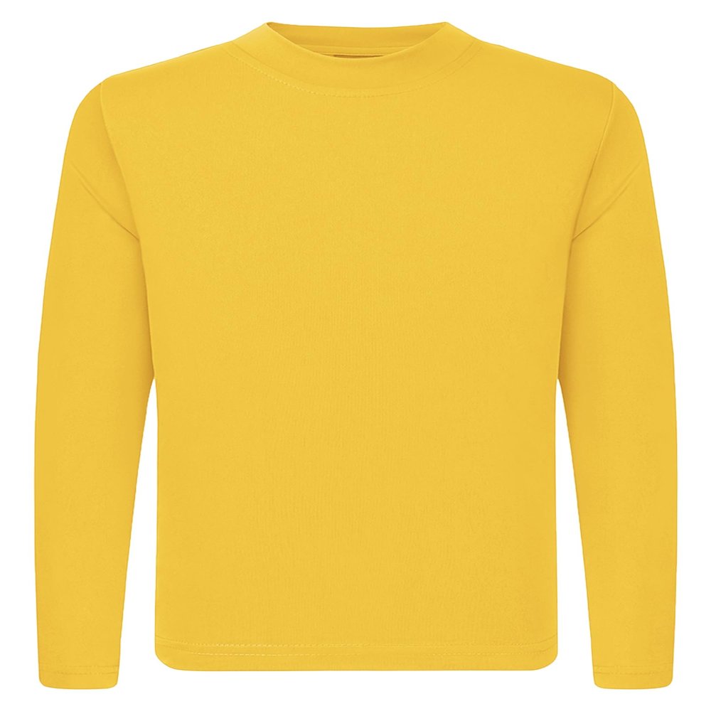 QBK 3T to Youth Neon Shirt Kids UPF 50+ Dry Fit Athletic Long Sleeve T Shirts for Boys and Girls-Moisture Wicking Rash Guard (Bright Yellow 5T)