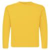 QBK 3T to Youth Neon Shirt Kids UPF 50+ Dry Fit Athletic Long Sleeve T Shirts for Boys and Girls-Moisture Wicking Rash Guard (Bright Yellow 5T) view 1