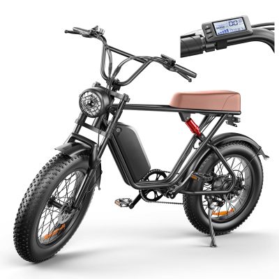 LONG SENG E Bike for Adults, 1000W 35MPH Electric Mountain Bike, 48V 20AH, 12-Speed 20" x4.0 Fat Tire, Dirt Bike Passed UL&GCC Certification