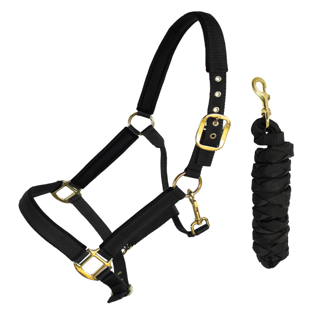 CHALLENGER Nylon Horse Neoprene Padded Nylon Adjustable Halter Brass Hardware 606173BK