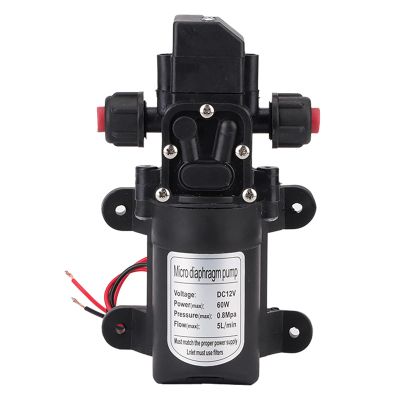 12V DC 60W Water Pump with Adjustable Pressure Switch 5L/min 116psi (0.8MPA) Self Priming Fresh Water Pump for RV, Camper, Marine Boat, Lawn Watering(9.9x16.7cm / 3.9x 6.6in)