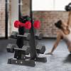 Dumbbell Rack Stand Only, Weight Rack Holder 3/6 Tier up to 176/660LBS Capacity Dumbbells Storage Shelf for Dumbbells Compact A-Frame Home Gym Space Saver (Three Pairs) view 3