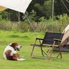 Comfortable Outdoor Folding Chairs Portable Travel Chair Ultralight Outdoor Picnic Fishing Camping Folding Chairs for Camping Fishing Picnic Travel and Hiking 52X43x62cm/20.5X16.9X24.4 Inch view 2