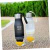 POPETPOP Infused Lemon Water Bottle Sports Bottle Fruit Infuser Leakproof Portable view 2