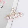 WCB1FPu Women's Brooch Pin Personality Brooch Pin Alloy Electroplating Brooch Ladies Clothing Brooch (A) view 2