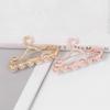 WCB1FPu Women's Brooch Pin Personality Brooch Pin Alloy Electroplating Brooch Ladies Clothing Brooch (A) view 3