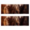 VTGHDEEQ Gym Towels,Hand Towels,Workout Towels for Gym Bag,Autumn Forest Wolf,2-Pc, 11.5x32 in, C3lo4ghejvui, Ke0w3rdckoed view 1