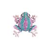 WCB1FPu Women's Brooch Individual Gender Needle Rhinestone Creative Cute Frog Brooch Animal Corsage Brooch (A) view 1