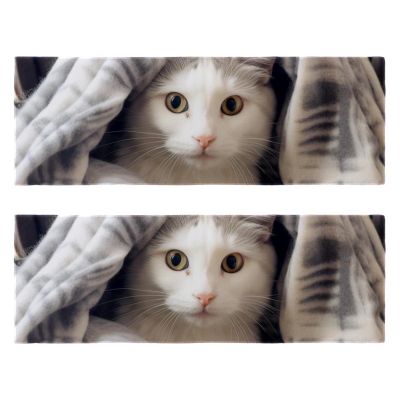 VTGHDEEQ Gym Towels,Hand Towels,Workout Towels for Gym Bag,Blanket and Cat,2-Pc, 11.5x32 in, K5bi3ehreqeh, Vf0x6vmecdgk