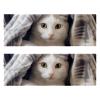 VTGHDEEQ Gym Towels,Hand Towels,Workout Towels for Gym Bag,Blanket and Cat,2-Pc, 11.5x32 in, K5bi3ehreqeh, Vf0x6vmecdgk view 1