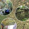 1.5m,2m,3m,4m,10m,20m,Woodland Military Camo Netting,Camo Net,Camouflage Netting,Outdoor Camouflage Net,for Hunting,Camping,Decoration,Sun Shade,Party,Different Size ( Size : 4x4m(13.1ftx13.1ft) ) view 2