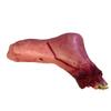 FOYTOKI Halloween Realistic Broken Foot Sacry Accessories Foot for Scary Atmosphere view 3