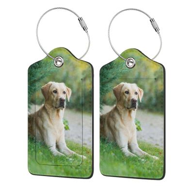 Luggage Tags for Suitcases, 2 Pack,with Stainless Steel Loop and Privacy Flap Name Id Label (Labrador Retriever Dog Pattern Printed)