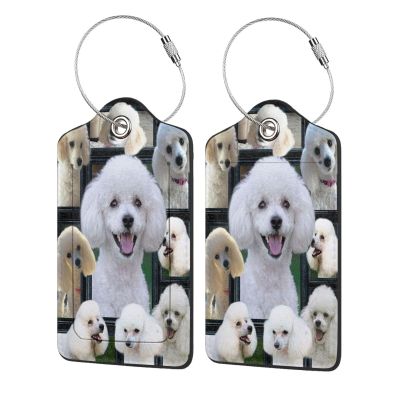 Luggage Tags for Suitcases, 2 Pack,with Stainless Steel Loop and Privacy Flap Name Id Label (Poodle Dog Pattern Printed)