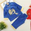 JIMINISO Chinese Style Dragon Tang Suit Party Festival Outfit Kung Fu Wushu Top Pants Set Uniform Costume Gift, Kids12(125-130cm) view 4