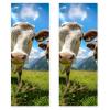 VTGHDEEQ Gym Towels,Hand Towels,Workout Towels for Gym Bag,Blue Sky Mountain Cow,2-Pc, Q5fe0zernigi, Bu6d7anyppas view 1