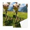 VTGHDEEQ Gym Towels,Hand Towels,Workout Towels for Gym Bag,Blue Sky Mountain Cow,2-Pc, Q5fe0zernigi, Bu6d7anyppas view 4