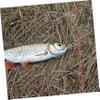 balacoo 1pc Outdoor Fish Buckle Lightweight Fishing Clip Stainless Steel Fishing Lock for Convenient Catch Release for Anglers and Enthusiasts view 3