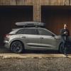Thule Motion 3 XL LowTitan view 2
